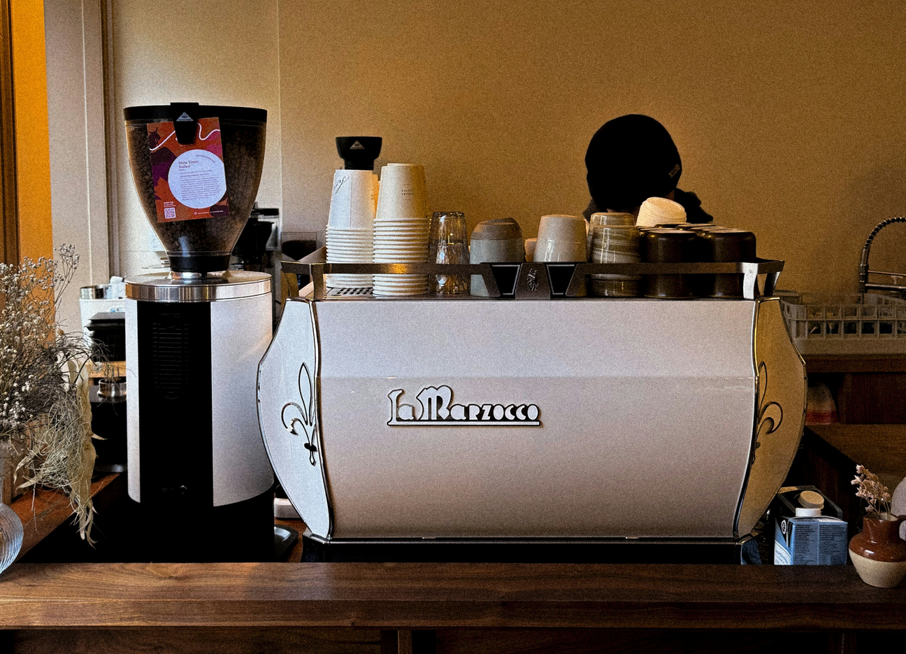 Why Freshly Ground Coffee Makes All the Difference